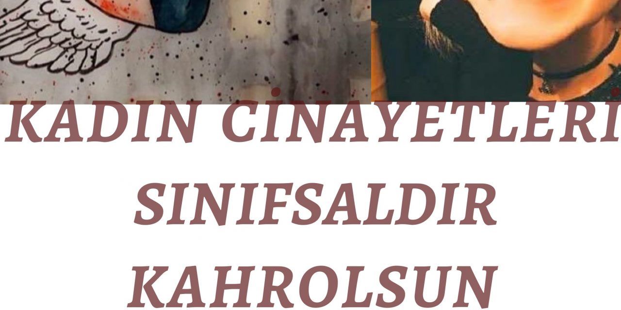 Şule Çet Cinayeti ve Düşündürdükleri