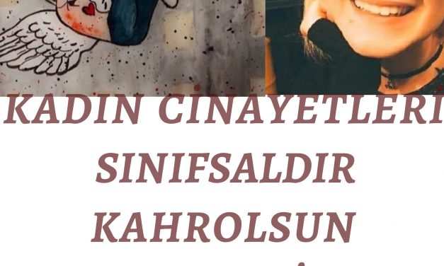 Şule Çet Cinayeti ve Düşündürdükleri