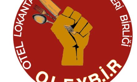 OLEY_Bir Kuruluş Manifestosu