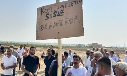 DEDAŞ Zulmüne Karşı Çiftçiler Ayakta