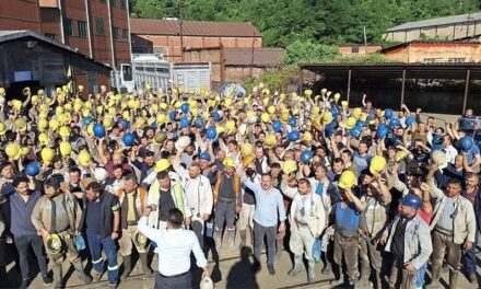 Grev Yasaklarına Karşı Sınıf Cephesini Kur