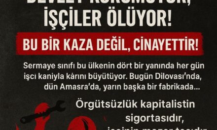 Dilovası’nda İş Cinayeti: Sermaye Yakıyor, Devlet Korumuyor, İşçiler Ölüyor!